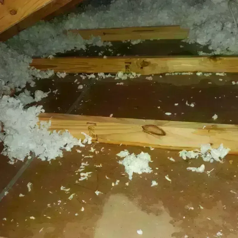 Attic Water Damage in Saint Helen, MI