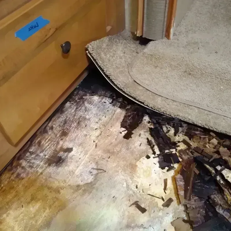 Wood Floor Water Damage in Saint Helen, MI